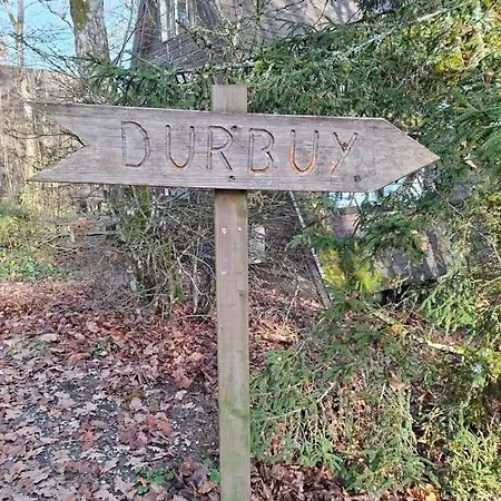 Chalet Sequoia 140, Nature, Piscine,2 Chiens Ok *