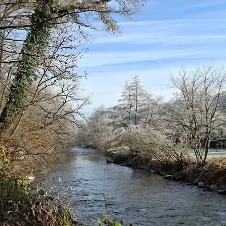 Sequoia 140, Nature, Piscine,2 Chiens Ok