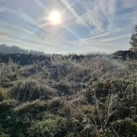 Sequoia 140, Nature, Piscine,2 Chiens Ok Chalet *