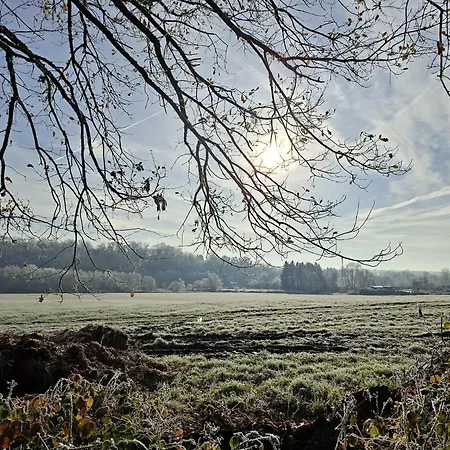 Sequoia 140, Nature, Piscine,2 Chiens Ok Chalet *