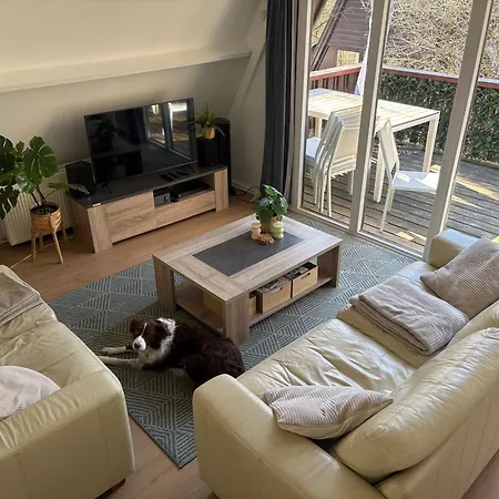 Sequoia 140, Nature, Piscine,2 Chiens Ok *