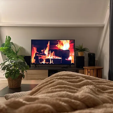 Chalet Sequoia 140, Nature, Piscine,2 Chiens Ok *