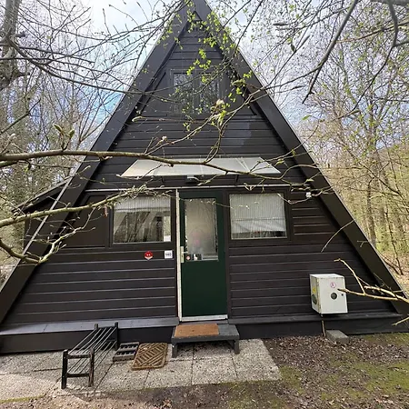 Sequoia 140, Nature, Piscine,2 Chiens Ok * Durbuy