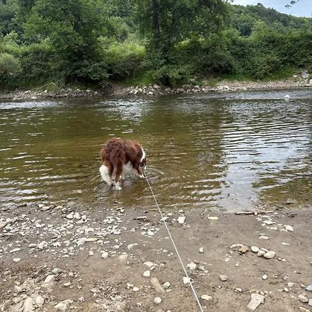 Horská chata Sequoia 140, Nature, Piscine,2 Chiens Ok *