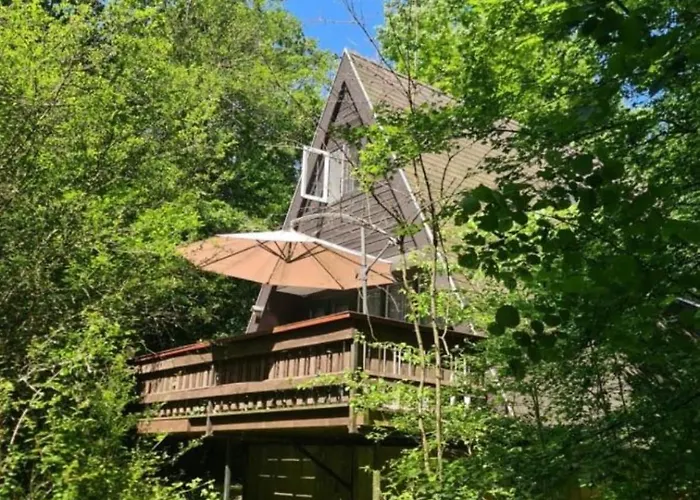 Sequoia 140, Nature, Piscine,2 Chiens Ok