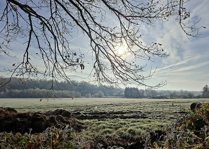 Sequoia 140, Nature, Piscine,2 Chiens Ok Chalet *