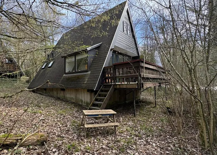 Sequoia 140, Nature, Piscine,2 Chiens Ok Chalet Durbuy