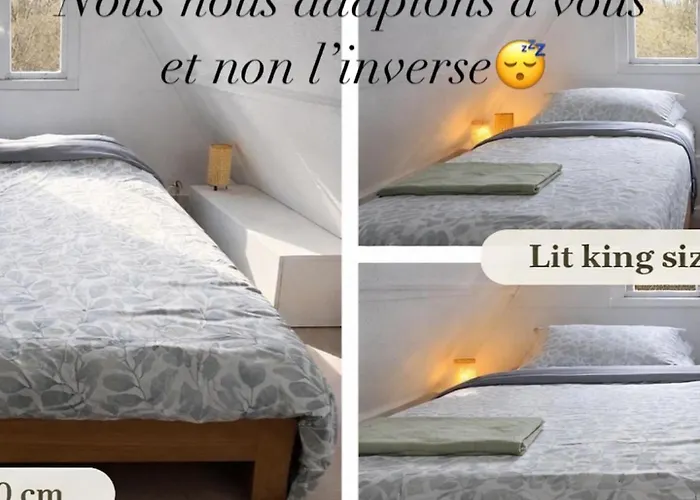 Sequoia 140, Nature, Piscine,2 Chiens Ok Chalet