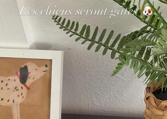 Sequoia 140, Nature, Piscine,2 Chiens Ok Chalet *